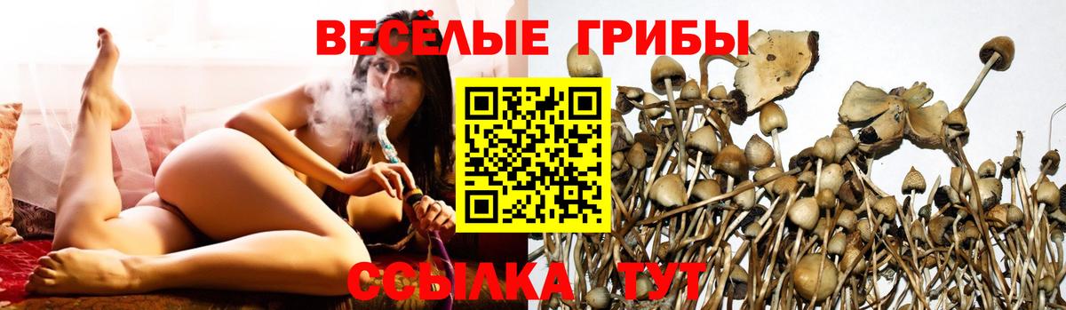 МЕФ кристаллы  Героин  Ливны  ЭКСТАЗИ  Вход с VPN  Кокаин  Канабис  Cocaine 