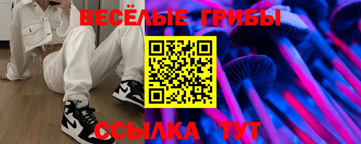 Галлюциногенные грибы ЛСД Ливны
